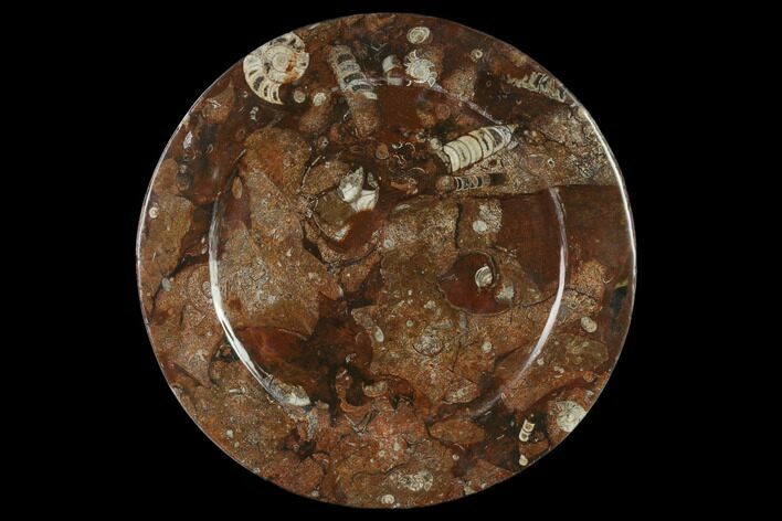 Fossil Orthoceras & Goniatite Round Plate - Stoneware #133556